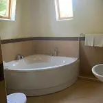вогняна саламандра * Saján