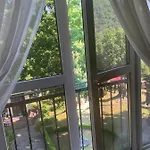 вогняна саламандра