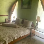 вогняна саламандра Apartman