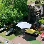 Apartman вогняна саламандра *