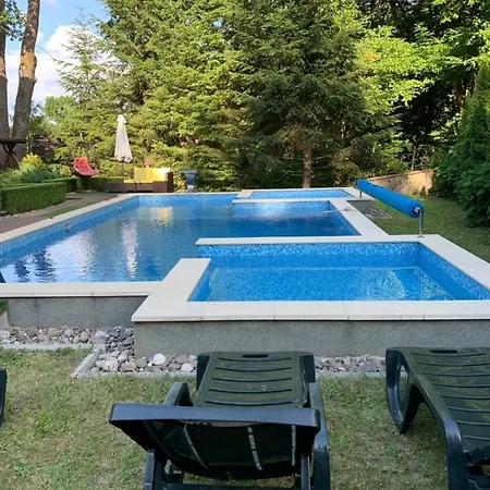 вогняна саламандра Shaian