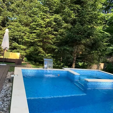 вогняна саламандра Shaian