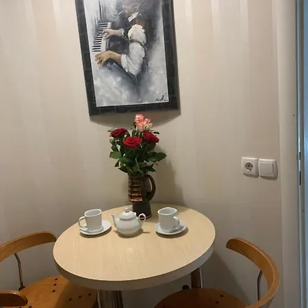 вогняна саламандра Apartment Shaian
