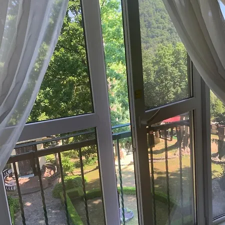 вогняна саламандра