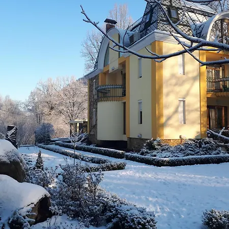 вогняна саламандра Saján