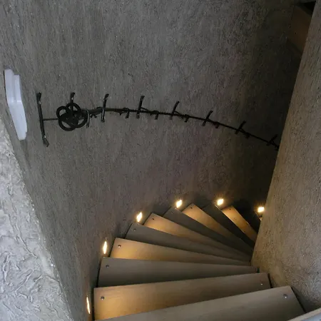 вогняна саламандра