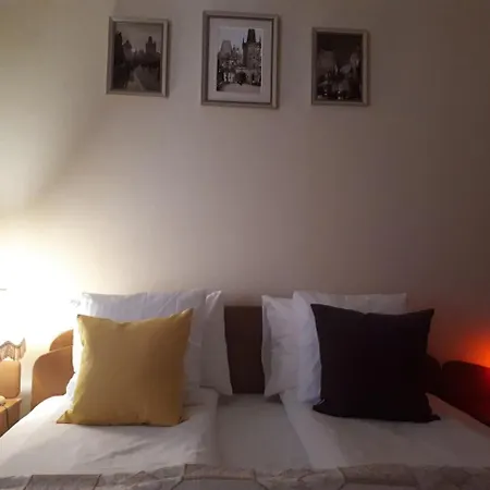 вогняна саламандра