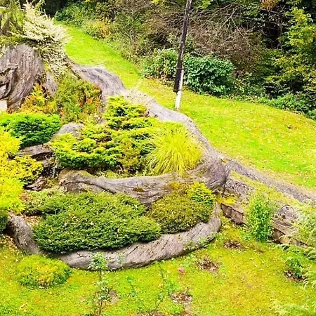 вогняна саламандра Appartement *