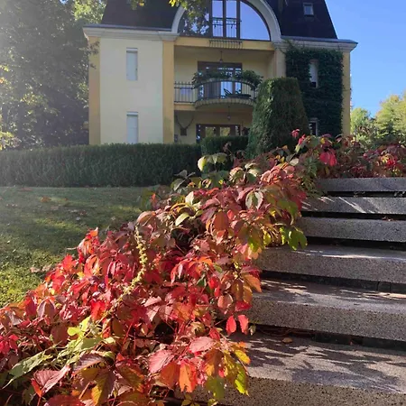 вогняна саламандра Appartement