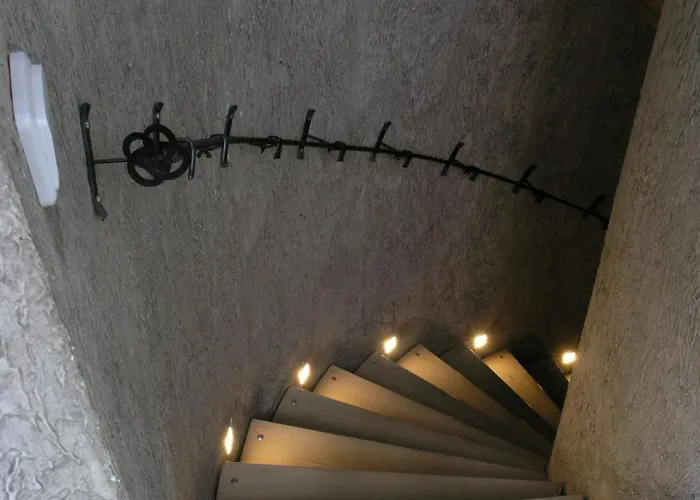 вогняна саламандра