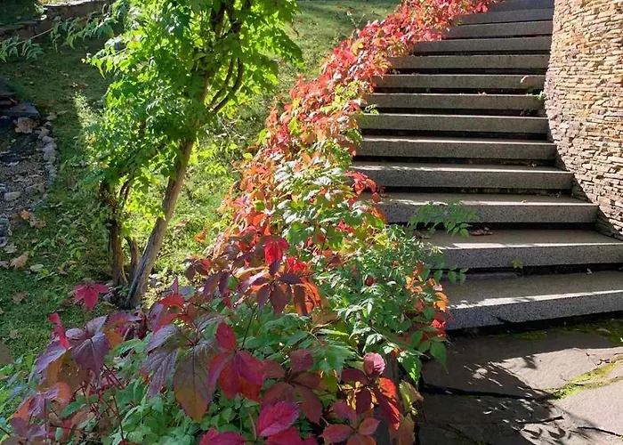 вогняна саламандра Shaian